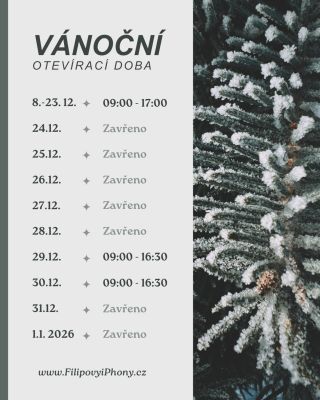 🎄 Vánoční otevírací doba 🎄 Tady najdete náš kompletní harmonogram během svátků, abyste přesně věděli, kdy jsme vám k...